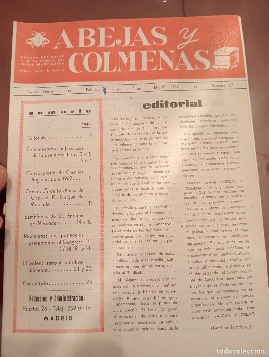 Libros de segunda mano: ABEJAS Y COLMENAS ENERO 1962 N&deg; 57 ESCUELA NACIONAL APICULTURA, COLMENEROS REVISTA APICOLA
