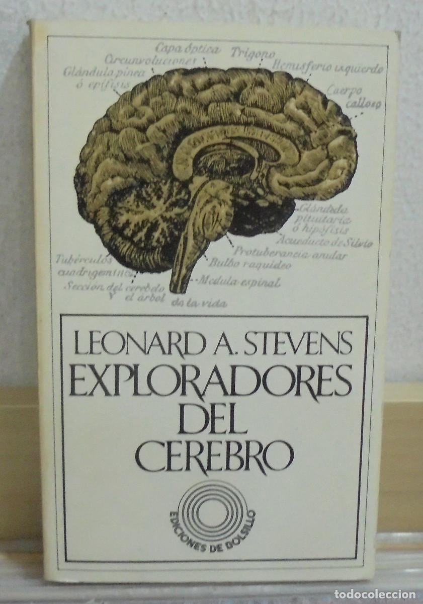 Libros de segunda mano: Exploradores del cerebro. Leonard A. Stevens