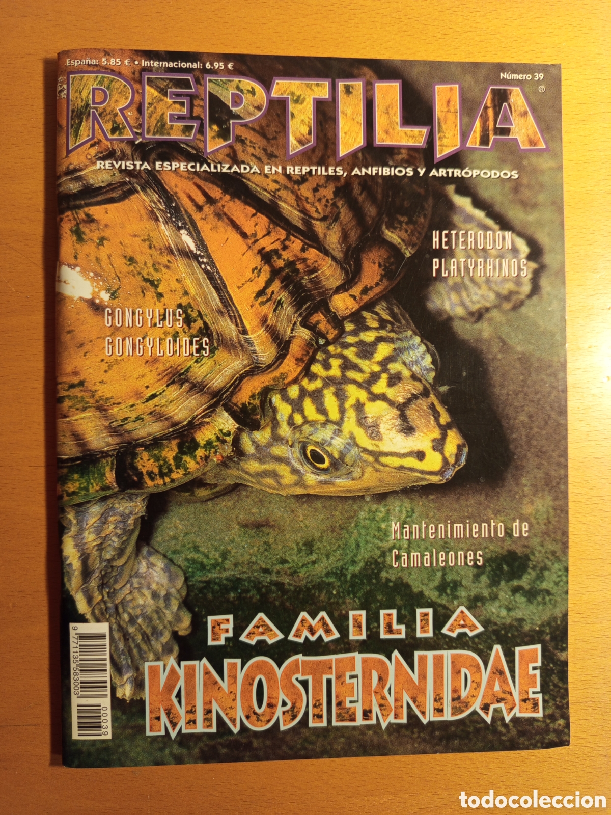 Libros de segunda mano: REPTILIA N&deg; 39. REVISTA ESPECIALIZADA EN REPTILES, ANFIBIOS Y ARTROPODOS (MANTENIMIENTO CAMALEONES)