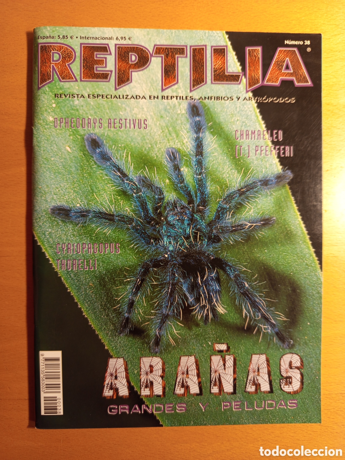 Libros de segunda mano: REPTILIA N&deg; 38. REVISTA ESPECIALIZADA EN REPTILES, ANFIBIOS Y ARTROPODOS (ARA&Ntilde;AS)