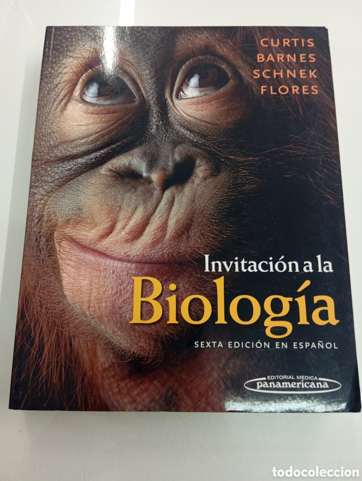 Libros de segunda mano: Invitaci&oacute;n a la biolog&iacute;a Curtis Barnes Schnek Flores 6&deg; edici&oacute;n 2007 Editorial Medios-Panamericana