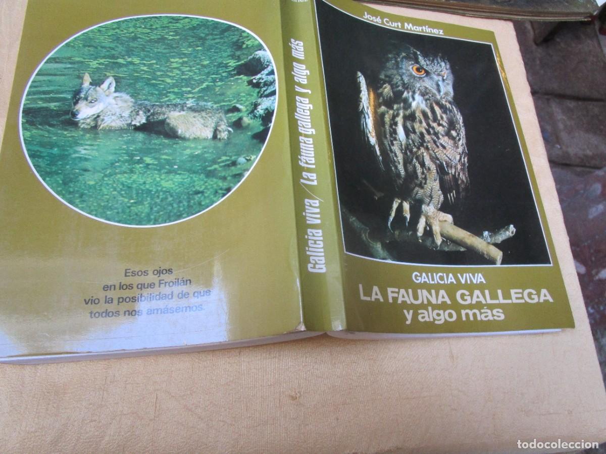 Libros de segunda mano: GALICIA VIVA, LA FAUNA GALLEGA Y ALGO MAS - JOSE CURT - VIGO 1978 270PP PLENO FOTOS B/N APENDICES.