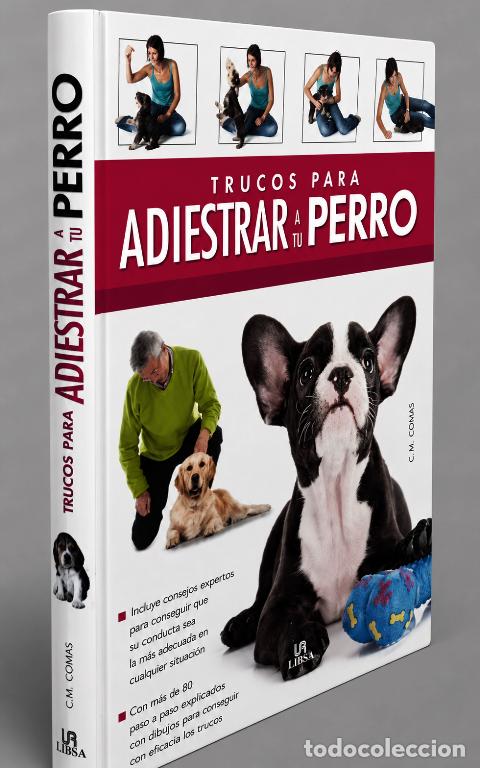 Gebrauchte B&uuml;cher: TRUCOS PARA ADIESTRAR A TU PERRO. C.M. COMPS.