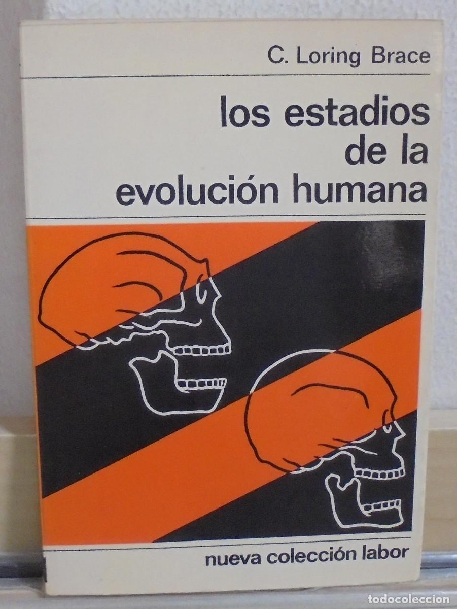 Libros de segunda mano: Los estadios de la evoluci&oacute;n humana. C. Loring Brace