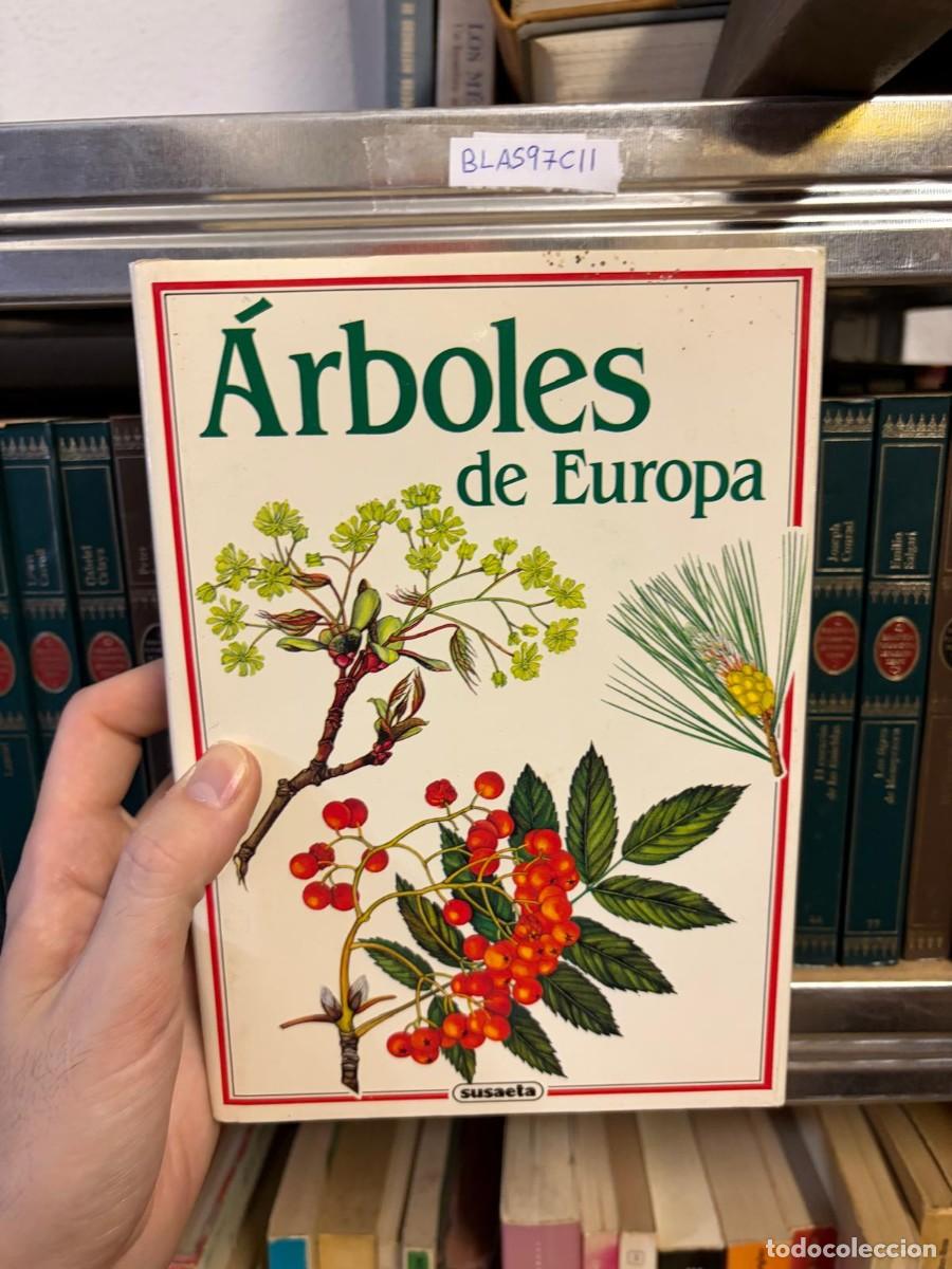 Libros de segunda mano: BLAS97C11 &Aacute;rboles de Europa &mdash; Susaeta