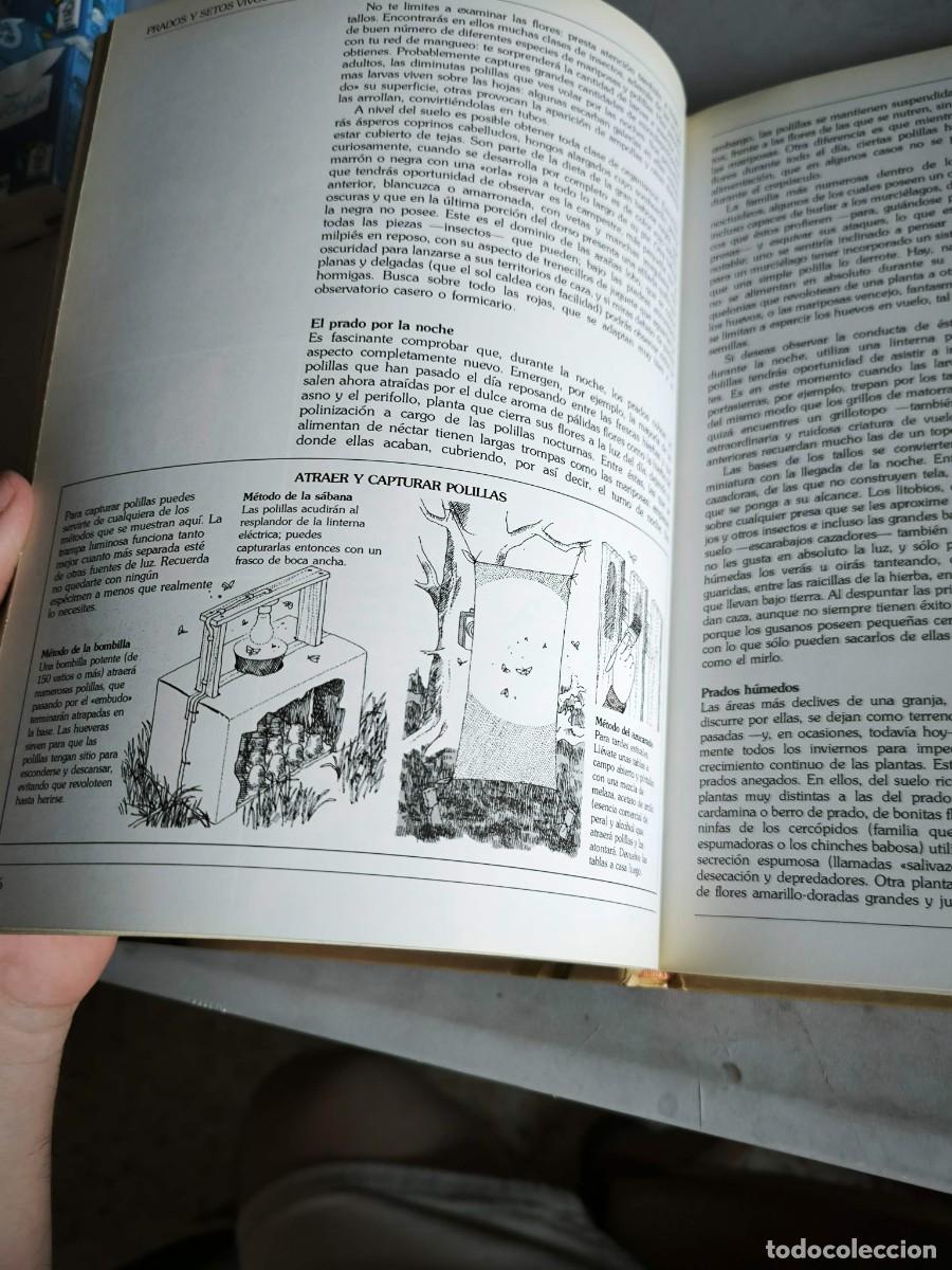 Libros de segunda mano: GUIA DEL NATURALISTA GERALD DURRELL - Foto 4