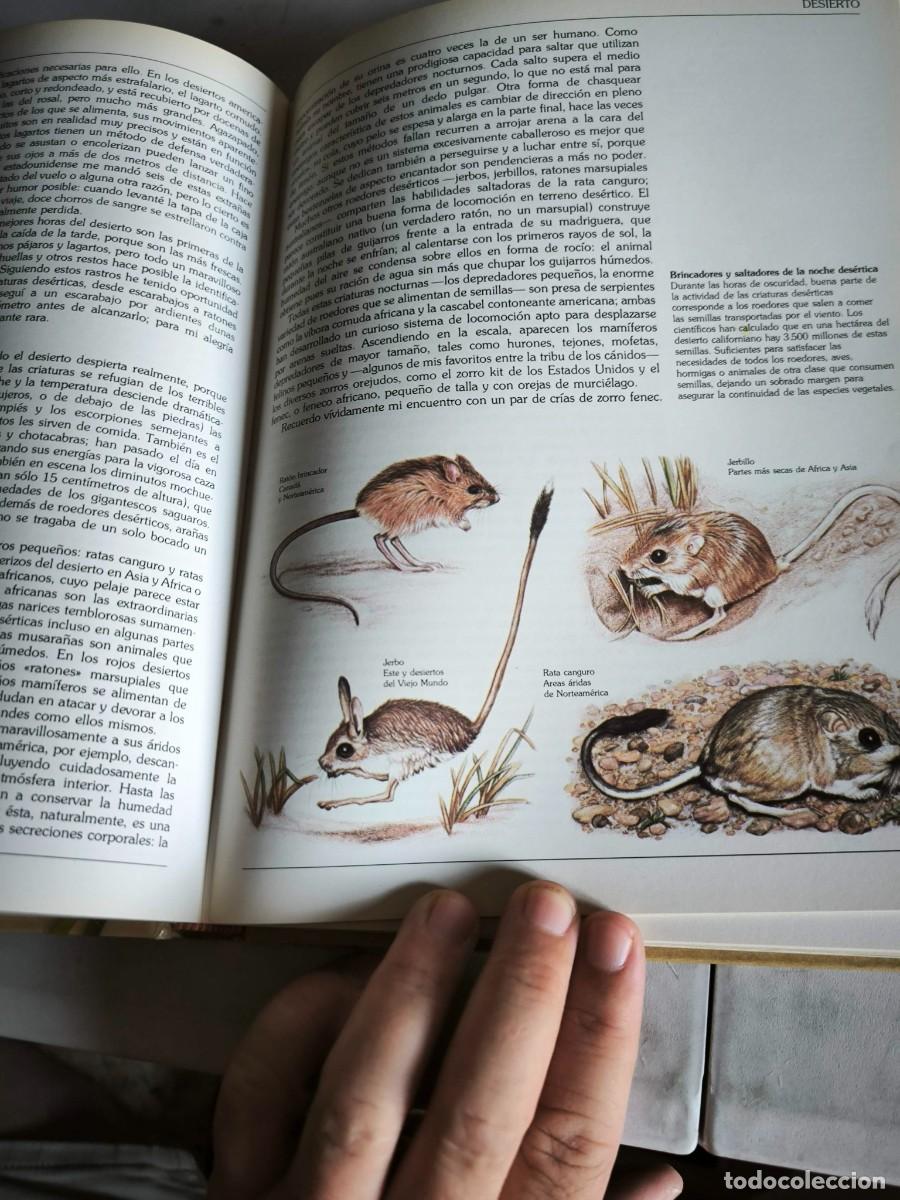 Libros de segunda mano: GUIA DEL NATURALISTA GERALD DURRELL - Foto 5