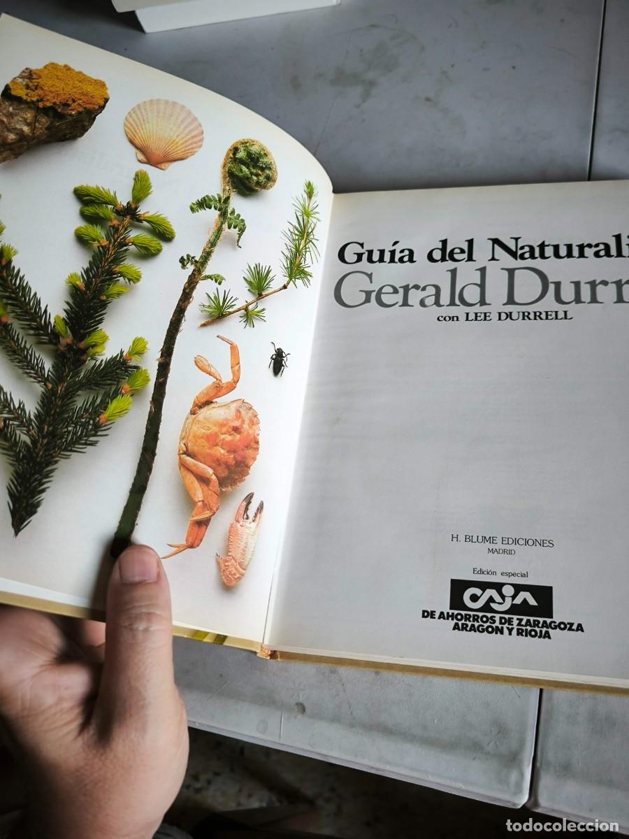 Libros de segunda mano: GUIA DEL NATURALISTA GERALD DURRELL - Foto 8