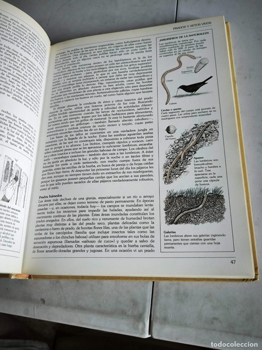 Libros de segunda mano: GUIA DEL NATURALISTA GERALD DURRELL - Foto 9