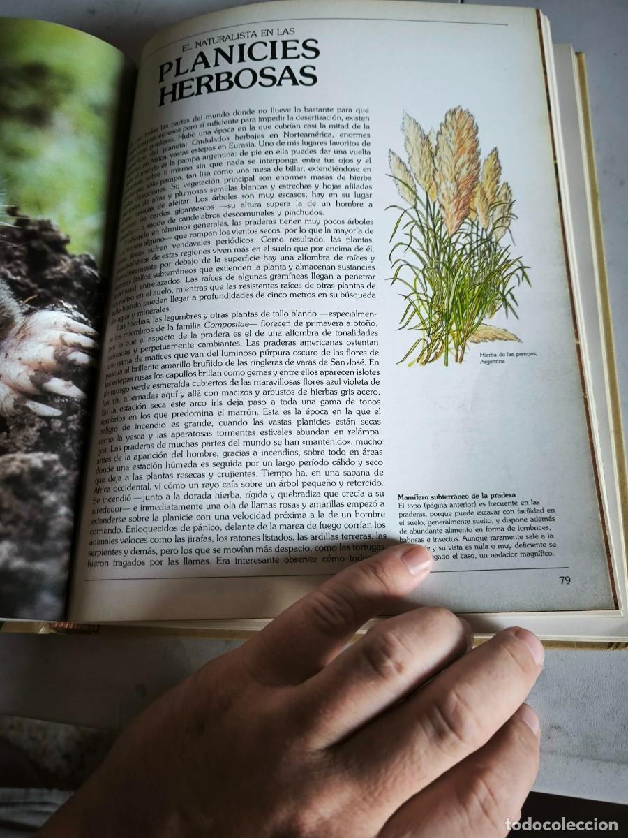 Libros de segunda mano: GUIA DEL NATURALISTA GERALD DURRELL - Foto 12