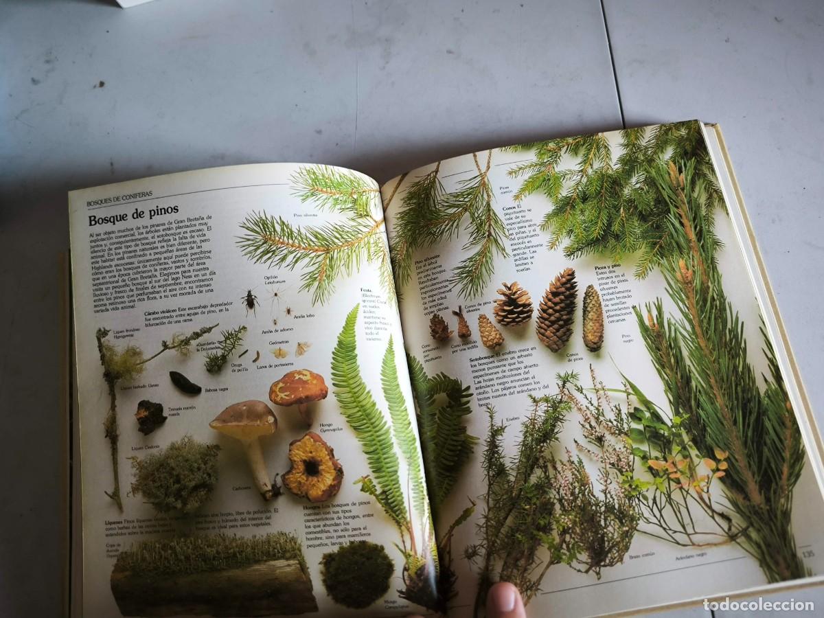 Libros de segunda mano: GUIA DEL NATURALISTA GERALD DURRELL - Foto 13