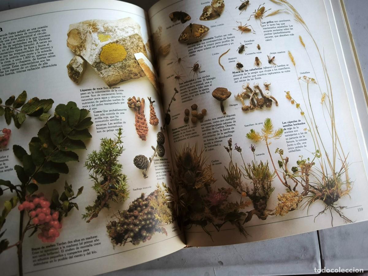 Libros de segunda mano: GUIA DEL NATURALISTA GERALD DURRELL - Foto 14