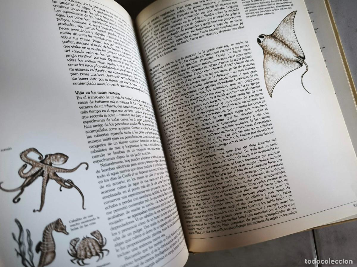 Libros de segunda mano: GUIA DEL NATURALISTA GERALD DURRELL - Foto 15
