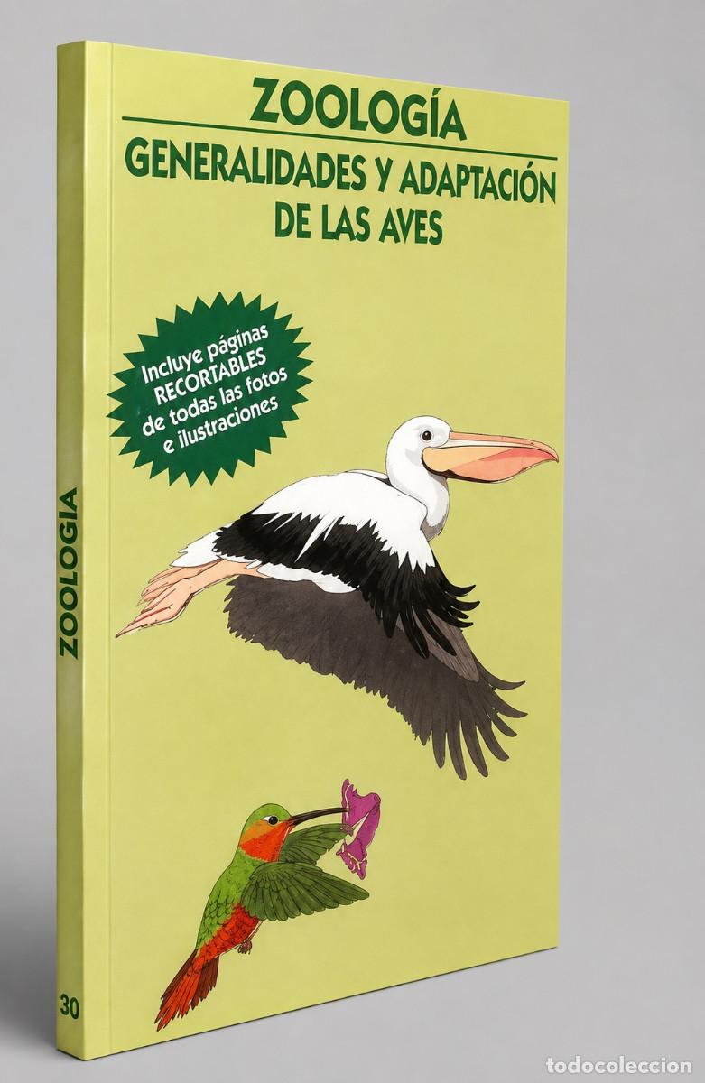 Libros de segunda mano: ZOOLOGIA. AVES. GENERALIDADES. ADAPTACION. PAJAROS. [INCLUYE PAGINAS RECORTABLES].