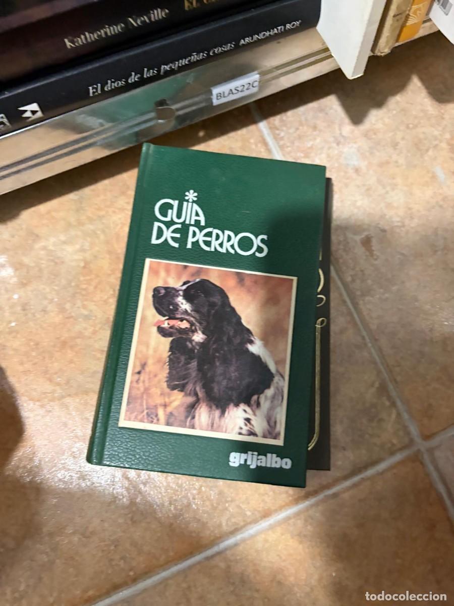 Libros de segunda mano: BLAS22C Gu&iacute;a de perros &mdash; Gino Pugnetti &mdash; Grijalbo