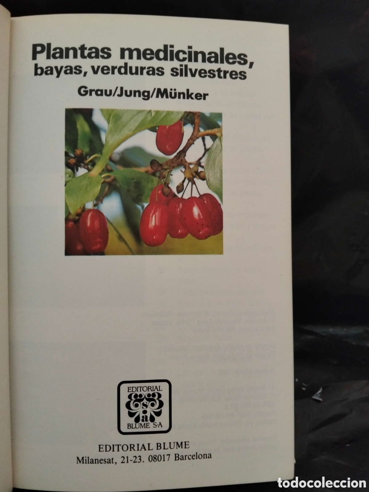 Libros de segunda mano: GRAU)JUNG)MUNKER. PLANTAS MEDICINALES.BLUME - Foto 2