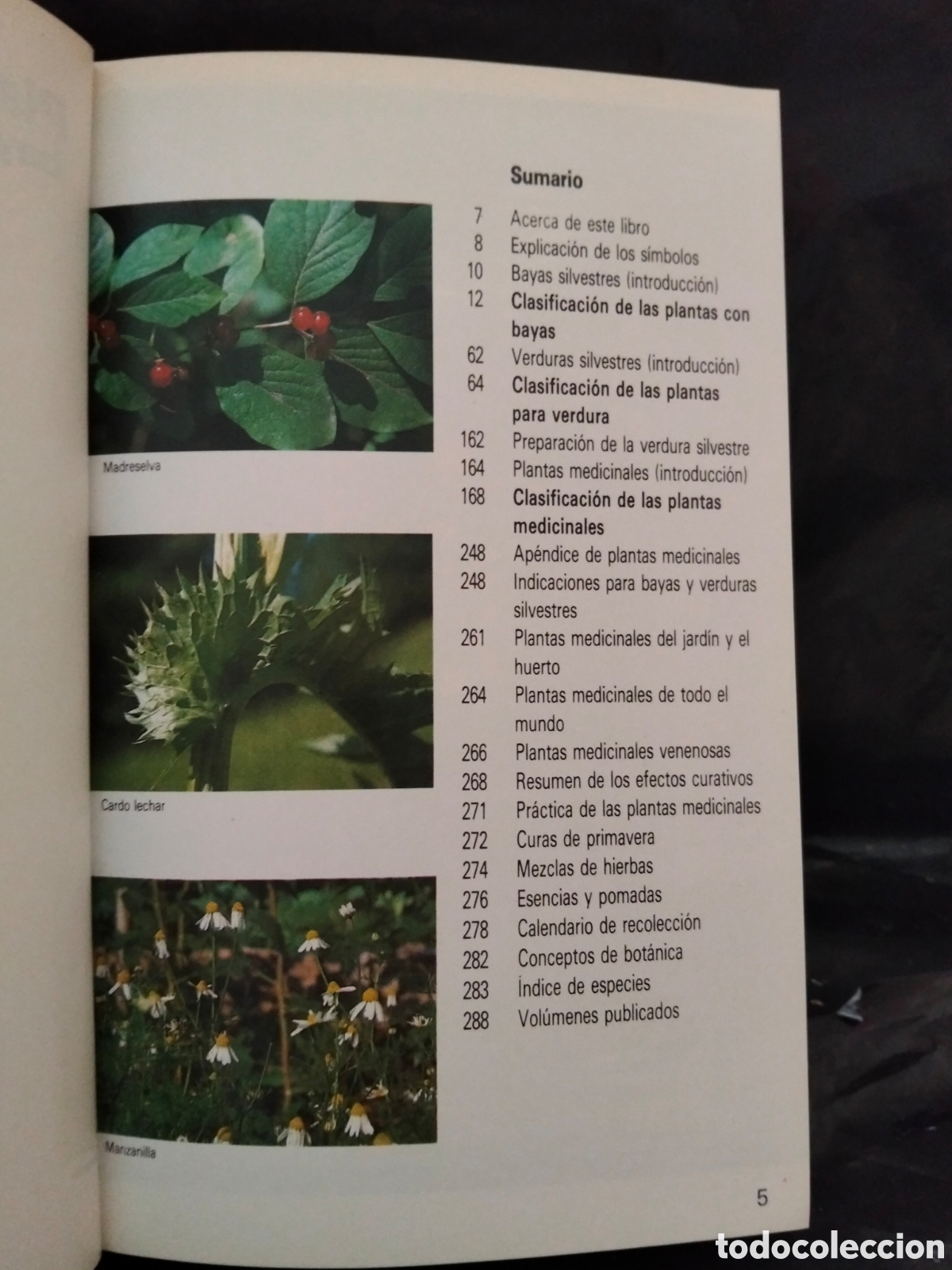 Libros de segunda mano: GRAU)JUNG)MUNKER. PLANTAS MEDICINALES.BLUME - Foto 3