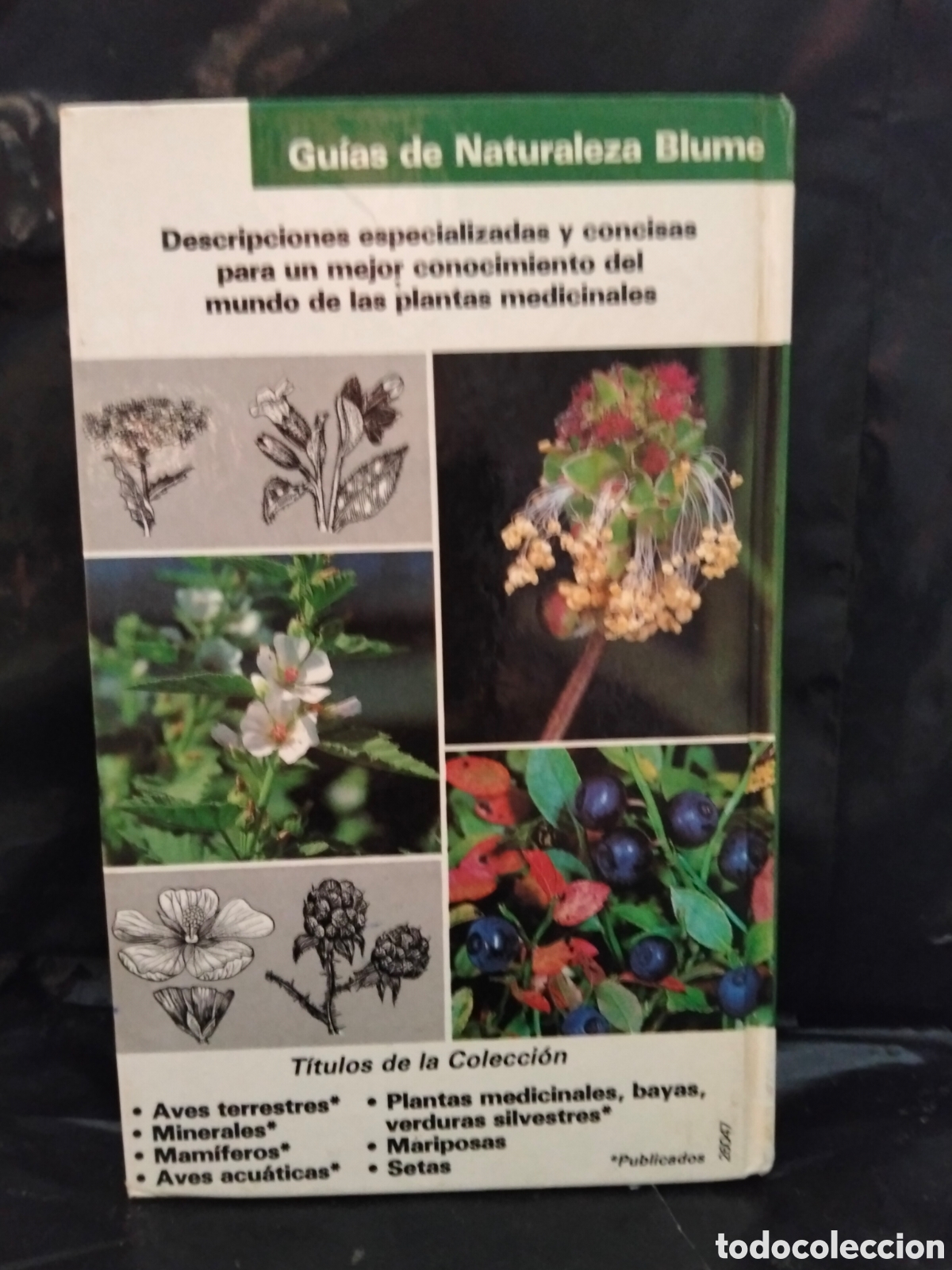 Libros de segunda mano: GRAU)JUNG)MUNKER. PLANTAS MEDICINALES.BLUME - Foto 8