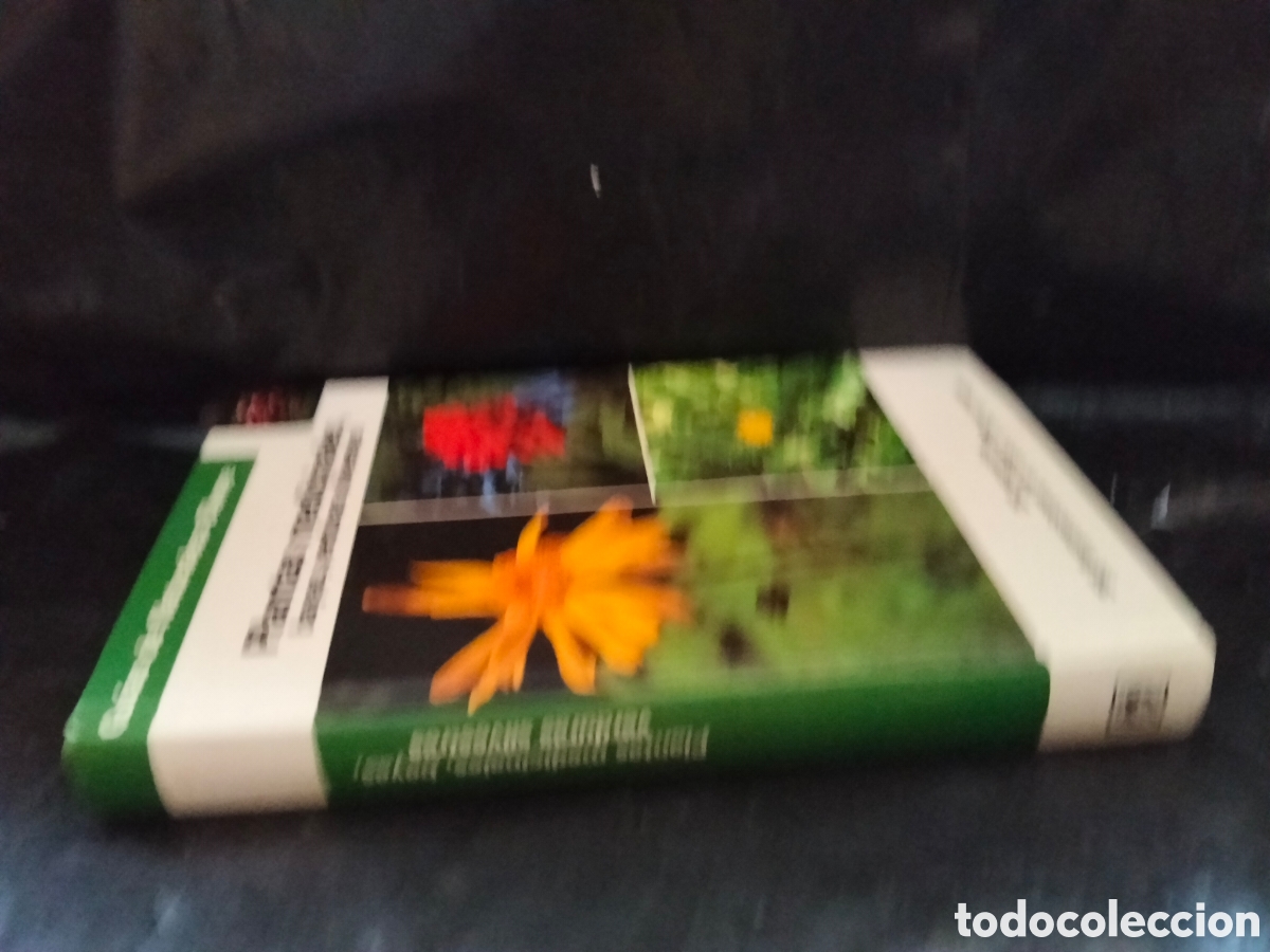 Libros de segunda mano: GRAU)JUNG)MUNKER. PLANTAS MEDICINALES.BLUME - Foto 9