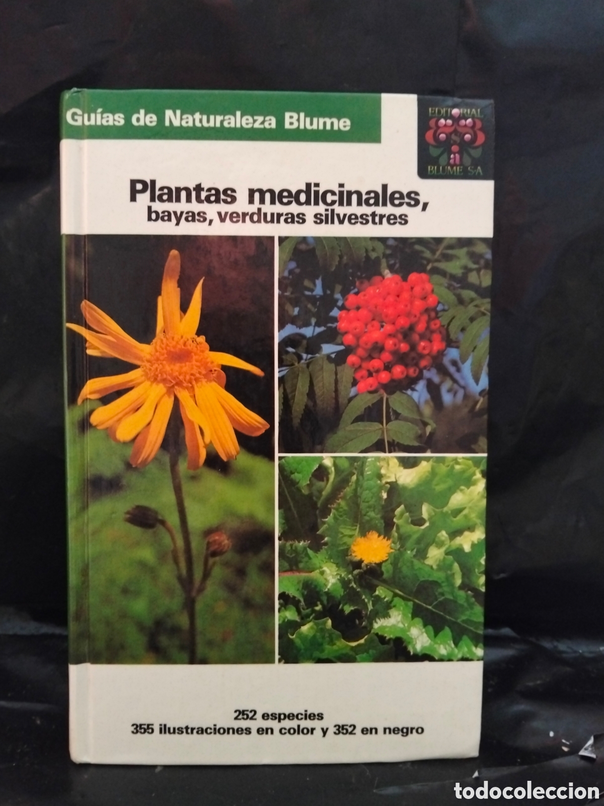 Libros de segunda mano: GRAU)JUNG)MUNKER. PLANTAS MEDICINALES.BLUME