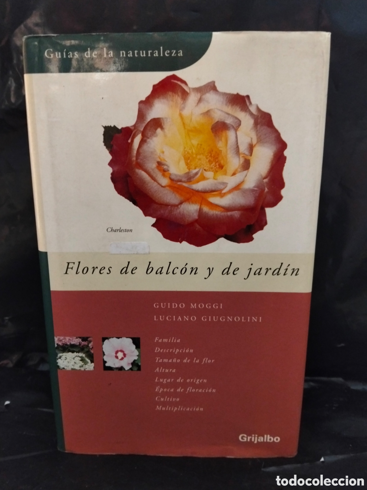 Libros de segunda mano: G. MOGGI/L. GIUGNOLINI. FLORES DE BALC&Oacute;N Y DE JARD&Iacute;N .GRIJALB0