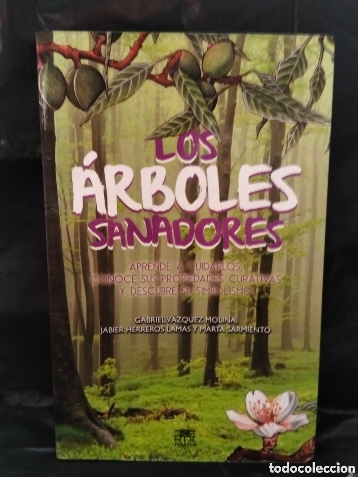 Libros de segunda mano: G V&Aacute;ZQUEZ/J HERREROS/M SARMIENTO. LOS &Aacute;RBOLES SANADORES .TXERTOA