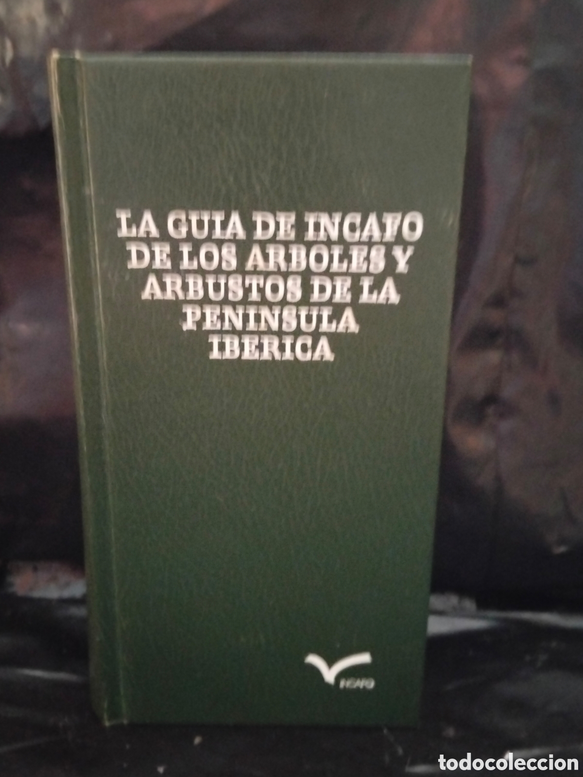 Libros de segunda mano: GIN&Eacute;S LOPEZ. LA GU&Iacute;A DE &rdquo;INCAFO&rdquo; DE LOS &Aacute;RBOLES Y ARBUSTOS DE LA PEN&Iacute;NSULA IB&Eacute;RICA .INCAFO