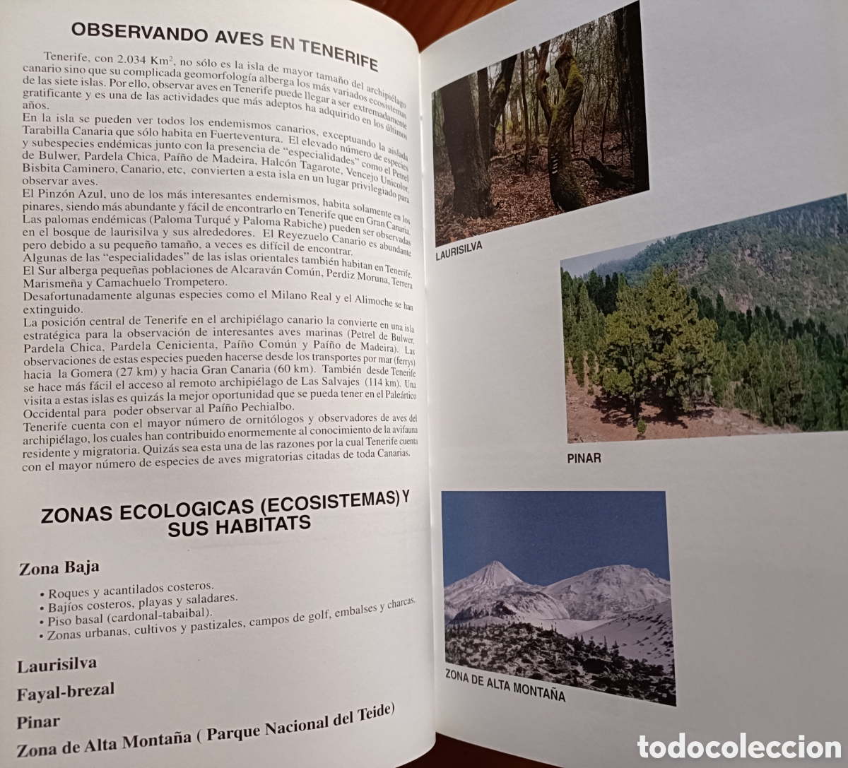 Libros de segunda mano: D&oacute;nde ver aves en Tenerife - Foto 3