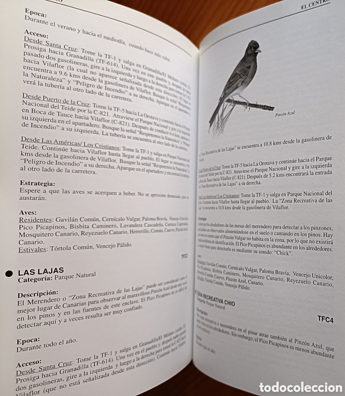 Libros de segunda mano: D&oacute;nde ver aves en Tenerife - Foto 6