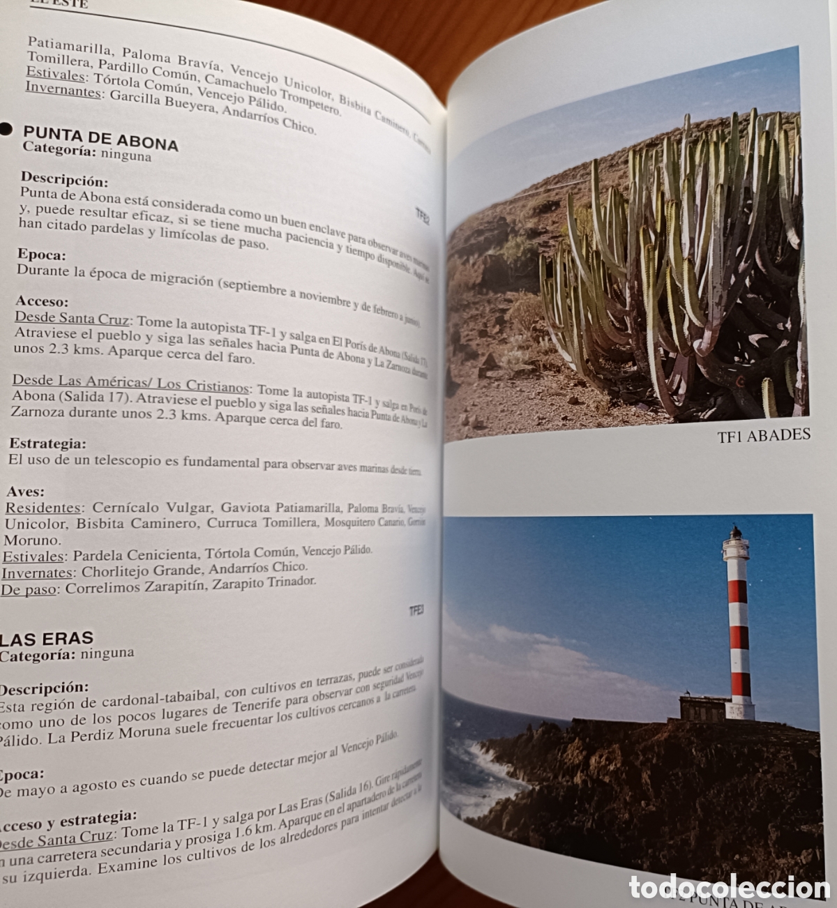 Libros de segunda mano: D&oacute;nde ver aves en Tenerife - Foto 8