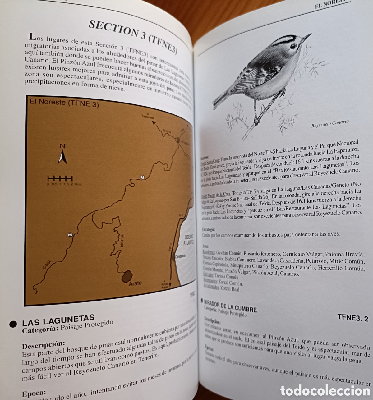 Libros de segunda mano: D&oacute;nde ver aves en Tenerife - Foto 9