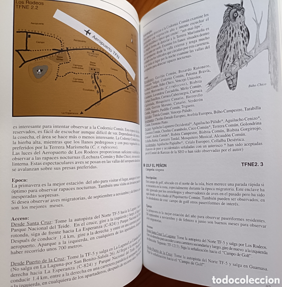 Libros de segunda mano: D&oacute;nde ver aves en Tenerife - Foto 10