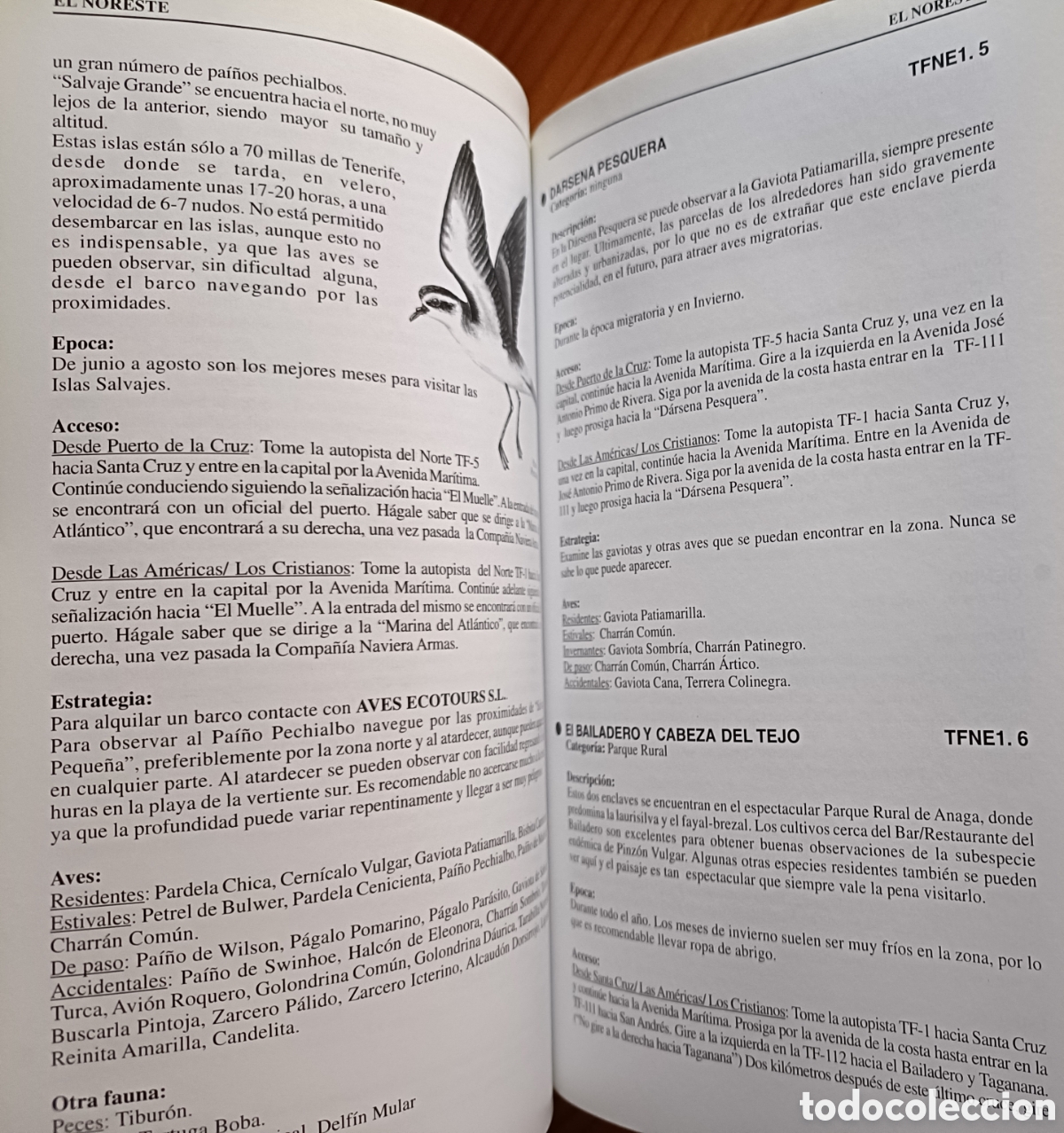 Libros de segunda mano: D&oacute;nde ver aves en Tenerife - Foto 11