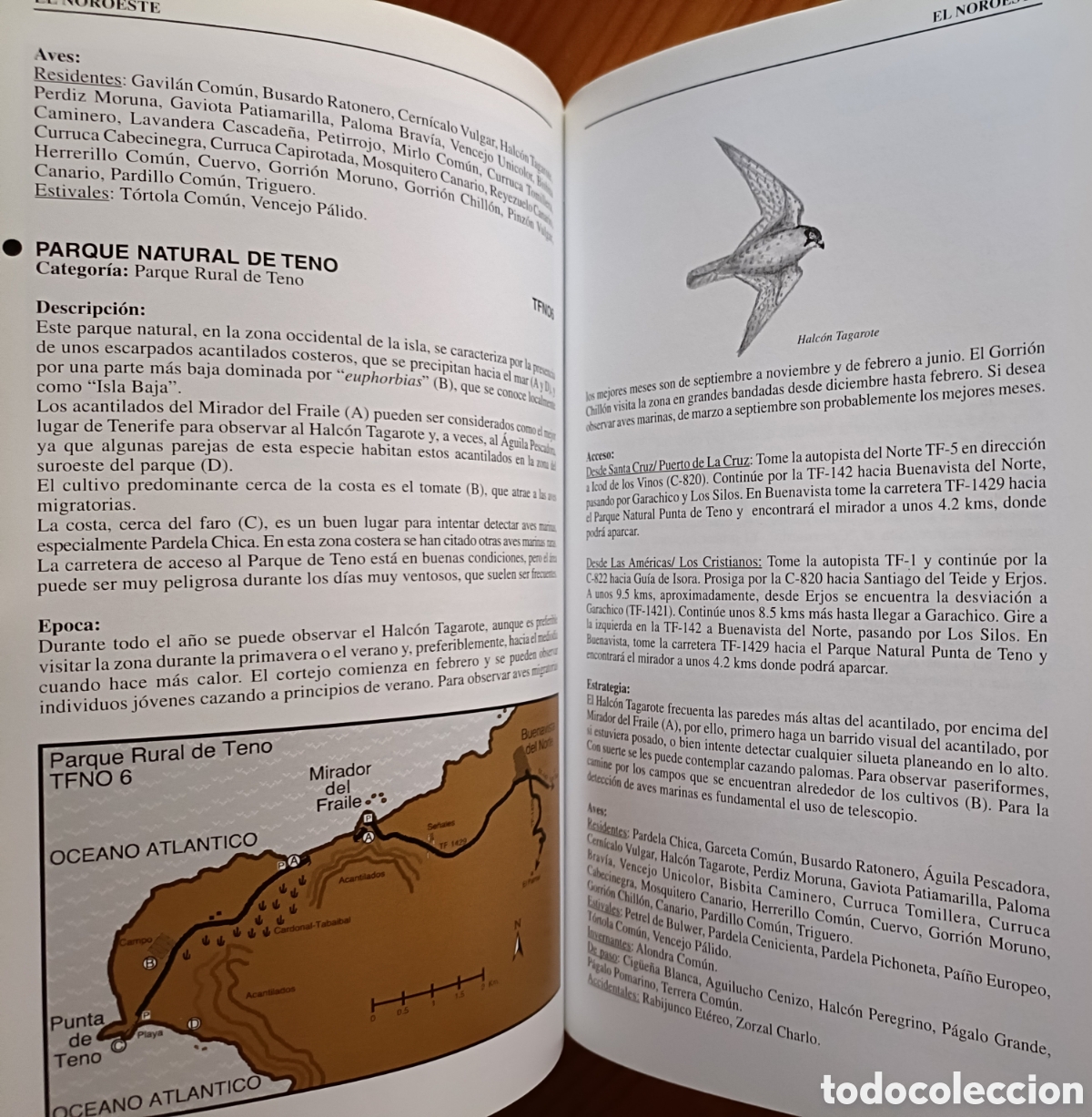 Libros de segunda mano: D&oacute;nde ver aves en Tenerife - Foto 12