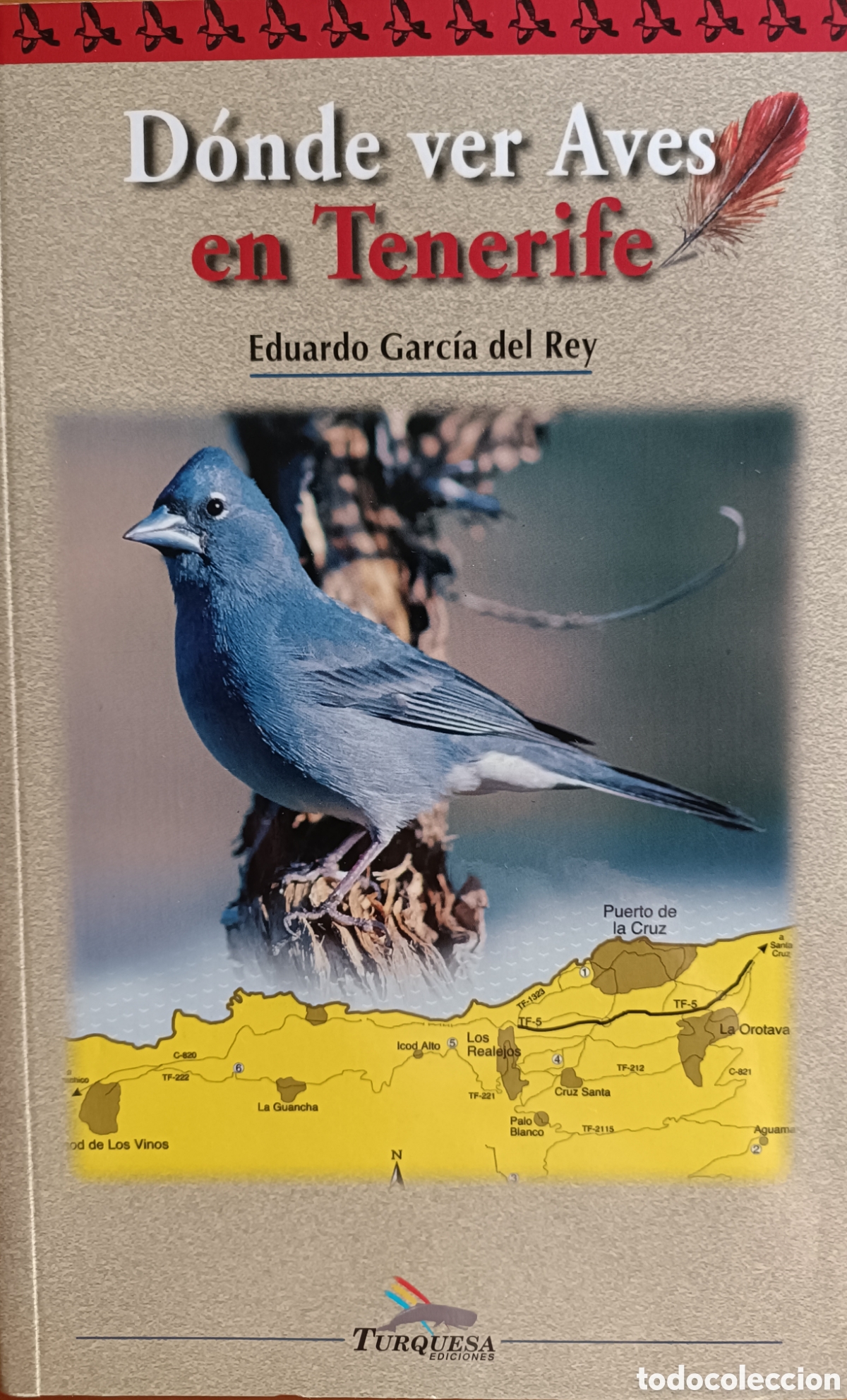 Libros de segunda mano: D&oacute;nde ver aves en Tenerife