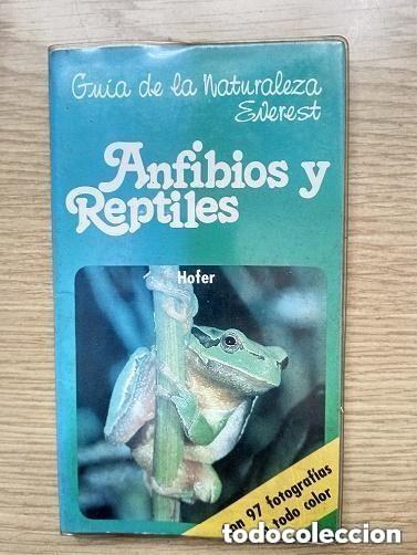 Libros de segunda mano: GUIA DE LA NATURALEZA EVEREST - ANFIBIOS Y REPTILES -leer detalles