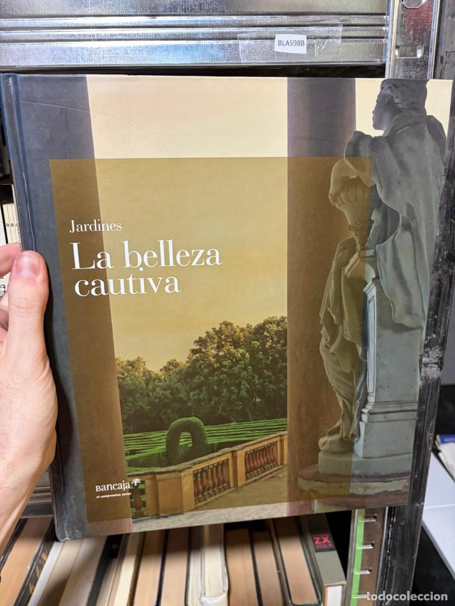 Libros de segunda mano: BLAS98B Jardines: La belleza cautiva &mdash; Francisco P&aacute;ez de la Cadena &mdash; Bancaja