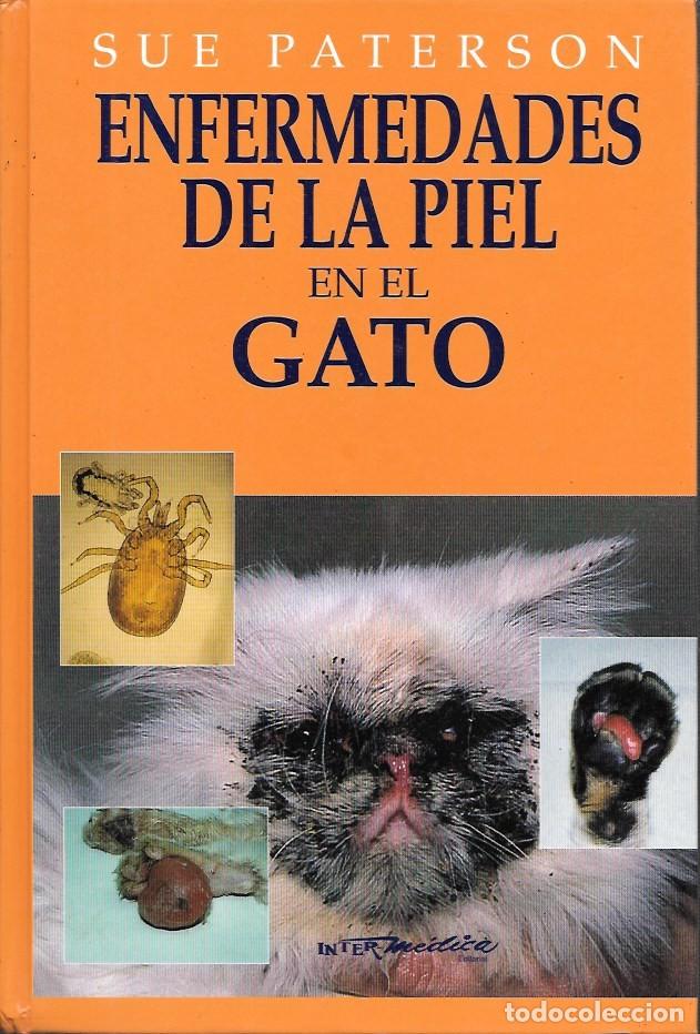 Libros de segunda mano: ENFERMEDADES DE LA PIEL EN EL GATO - PATERSON, SUE - A-VETER-192
