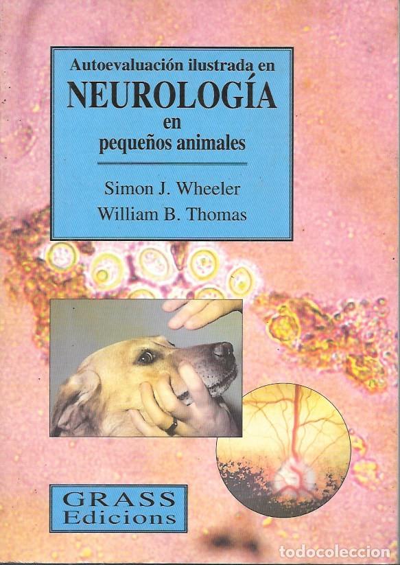 Libros de segunda mano: AUTOEVALUACION ILUSTRADA EN NEUROLOGIA EN PEQUE&Ntilde;OS ANIMALES - A-VETER-197