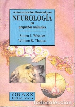 Libros de segunda mano: AUTOEVALUACION ILUSTRADA EN NEUROLOGIA EN PEQUE&Ntilde;OS ANIMALES - A-VETER-197
