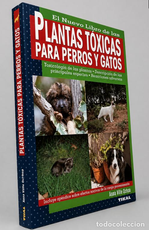 Libros de segunda mano: PLANTAS TOXICAS PARA PERROS Y GATOS. DESCRIPCION. ESPECIES. ANNA VILA COMA.