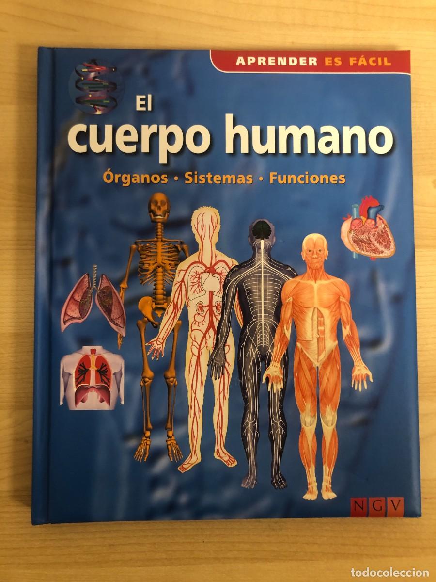 Libros de segunda mano: Aprender es Facil El Cuerpo Humano Organis Sistemas Funciones Editorial NGV Contmedia