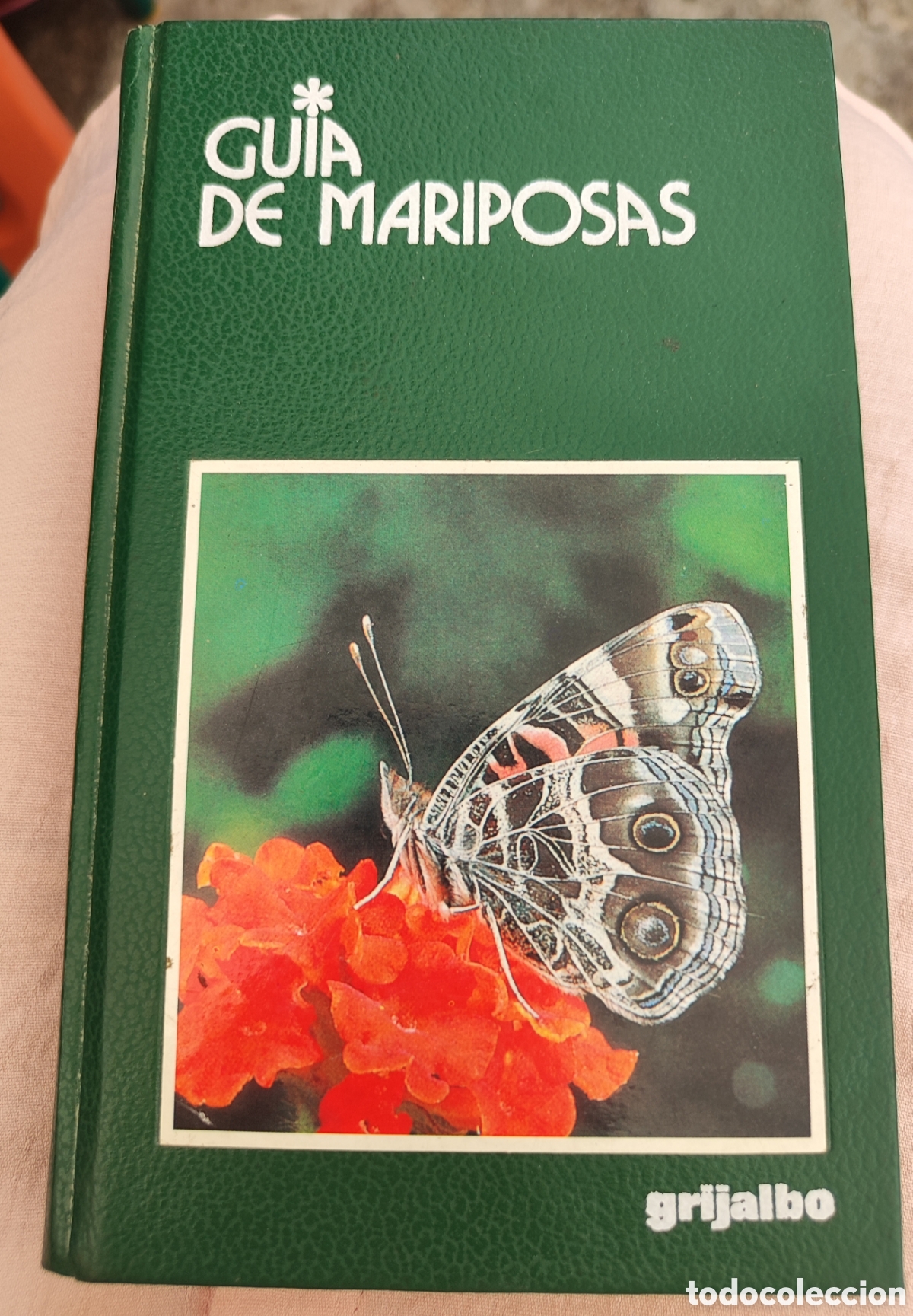 Libros de segunda mano: Gu&iacute;a de mariposas. Mauro Daccordi , Paolo Triberti. Edit. Grijalbo. 1 edici&oacute;n