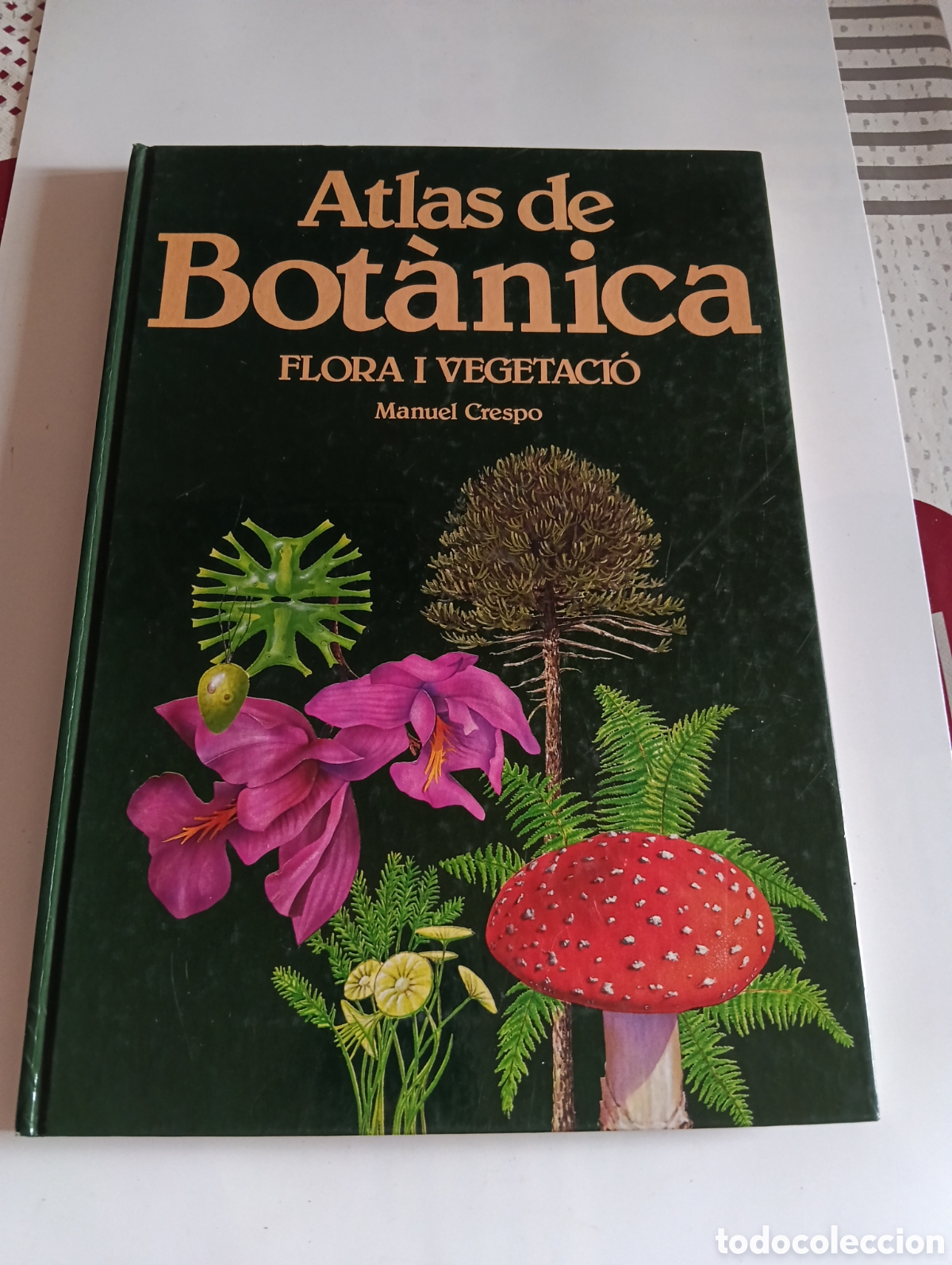 Libros de segunda mano: ATLAS DE BOT&Aacute;NICA FLORA I VEGETACIO