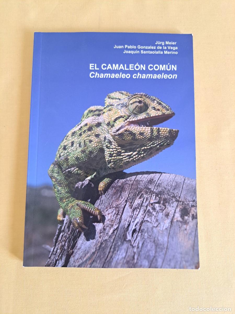 Libros de segunda mano: JURG MEIER, JUAN PABLO GONZALEZ Y JOAQUIN SATAOLALLA - EL CAMALEON COMUN - 2021