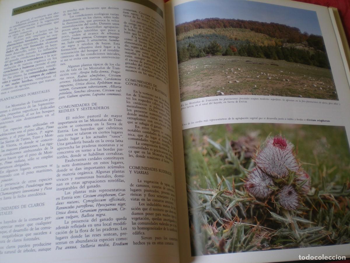 Libros de segunda mano: VEGETACI&Oacute;N DE LA COMUNIDAD AUT&Oacute;NOMA DEL PA&Iacute;S VASCO. - Foto 7
