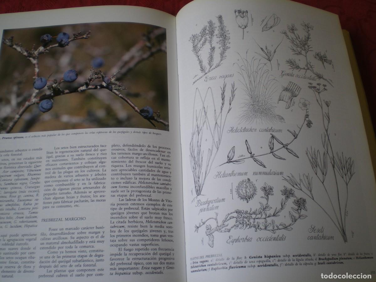 Libros de segunda mano: VEGETACI&Oacute;N DE LA COMUNIDAD AUT&Oacute;NOMA DEL PA&Iacute;S VASCO. - Foto 8