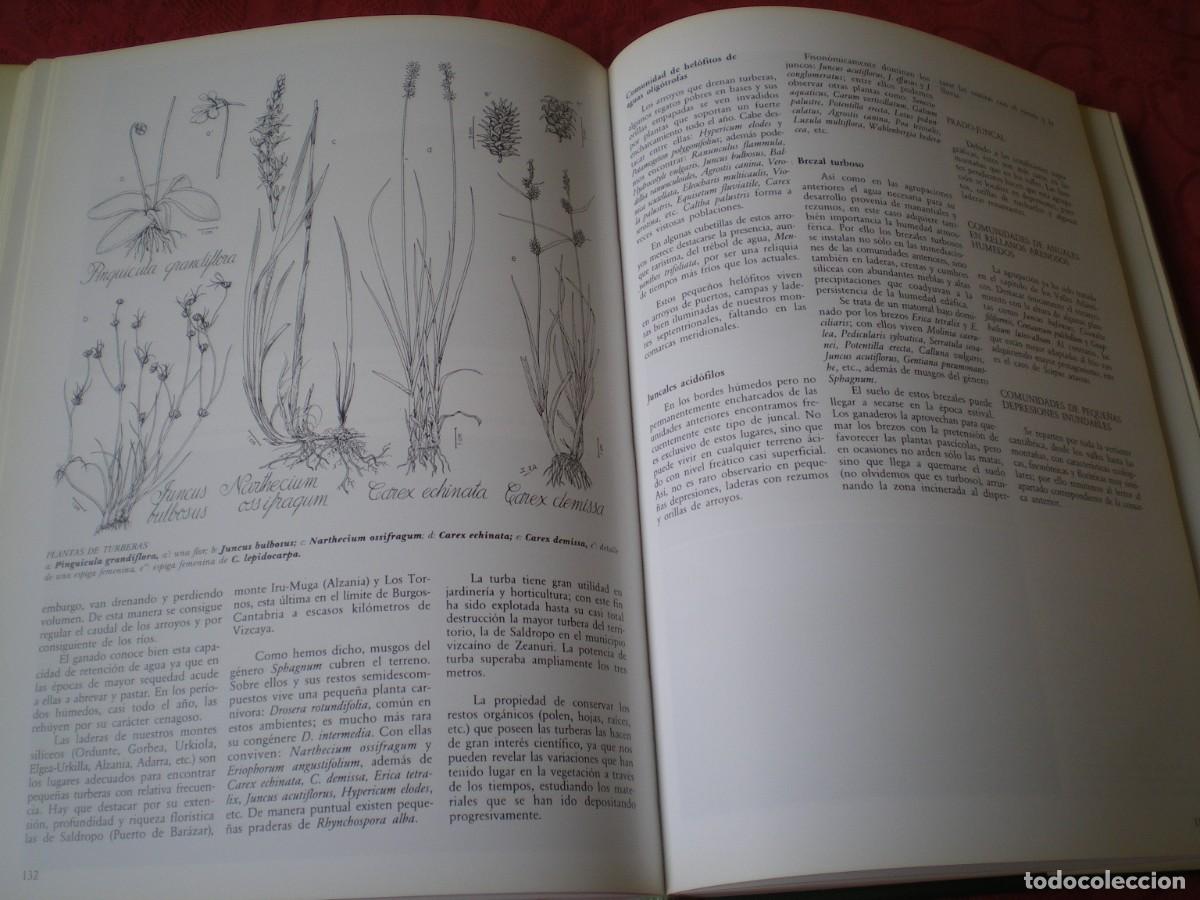 Libros de segunda mano: VEGETACI&Oacute;N DE LA COMUNIDAD AUT&Oacute;NOMA DEL PA&Iacute;S VASCO. - Foto 9