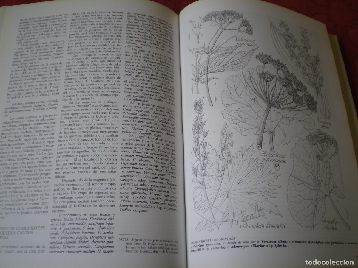 Libros de segunda mano: VEGETACI&Oacute;N DE LA COMUNIDAD AUT&Oacute;NOMA DEL PA&Iacute;S VASCO. - Foto 10