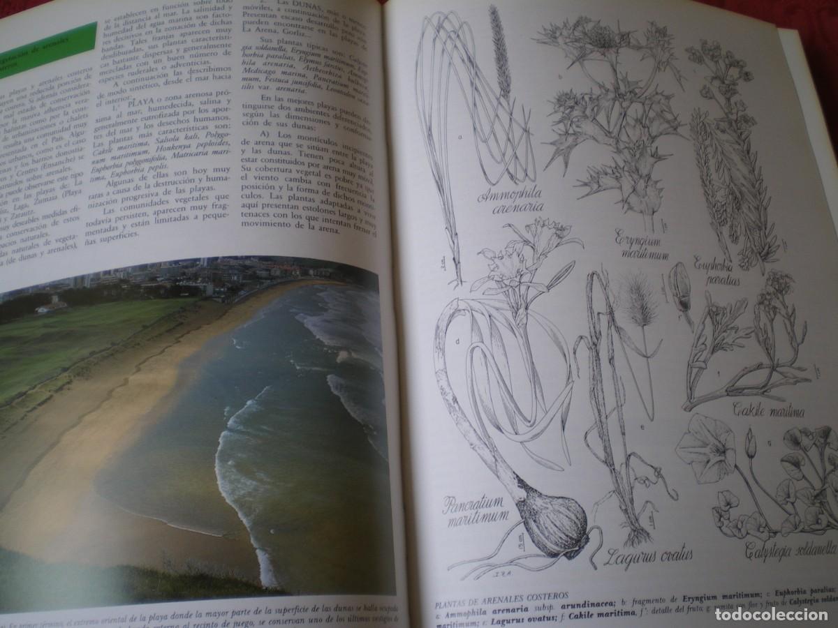 Libros de segunda mano: VEGETACI&Oacute;N DE LA COMUNIDAD AUT&Oacute;NOMA DEL PA&Iacute;S VASCO. - Foto 11